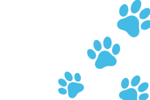 Solid cyan blue background with a thin white vertical strip along the left edge.